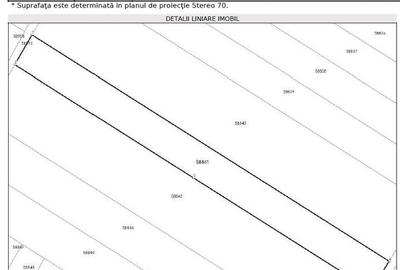 Teren de 14000 mp, în Dobroești - 2