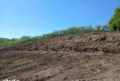Teren de 7000 mp, în Hidiș - 3