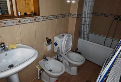 Apartament 3 camere mobilat si utilat CRISTIAN - 13