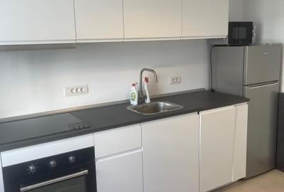 Apartament cu 2 camere decomandat, mobilat în Domenii - 10