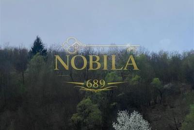 Casă cu 4 camere în Pârvulești - 8