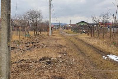 Teren Construcții extravilan de 10000 mp, în Bod - 4