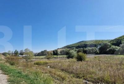 Teren de 1850 mp, în Feleacu - 4