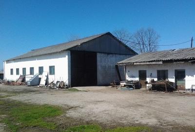 Teren Construcții intravilan de 37 mp, în Mogoșești - 13