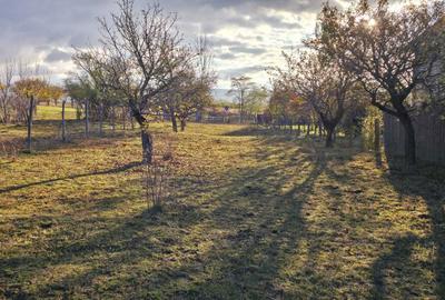 Teren de 1450 mp, în Valea Crișului - 7