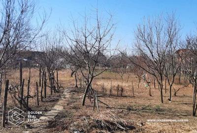 Casa mare in Paulis, la drumul principal, 1500 mp teren - 4