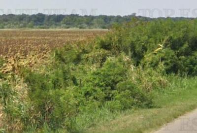 Teren de 219413 mp, în Florești - 7