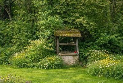 Teren în Vâlcele - 4