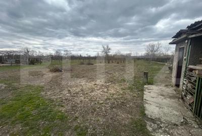 Casă cu 3 camere cu Teren 2700 Mp în Central - 8