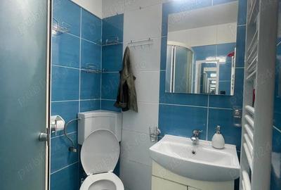 Garsoniera 1 camere Piata Verde Aradului - 3