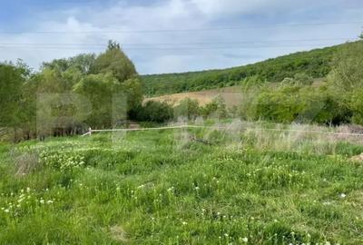 Teren de 2169 mp, în Unirii - 4