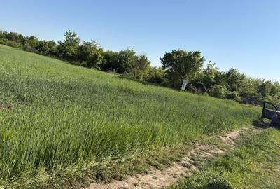 Teren de 2500 mp, în Afumați - 3