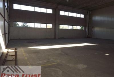 Spațiu comercial, de 430 mp, în Lugojului - 1