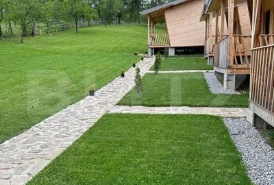 Complex turistic de 5 cabane,3100 mp teren,Transalpina Super pret!! - 2