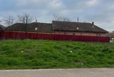 Spațiu comercial, în Borcea - 4