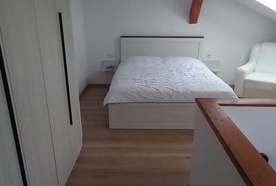 Apartament cu 2 camere semidecomandat în Sânpetru - 1