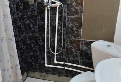 Giurgiului nr. 164, M. Eroii Revolutiei, 20 minute de Piata Unirii cu STB - 8