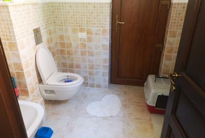 Vila Trivale - Montanstar, teren 1.750mp, piscina, mobilata - 7