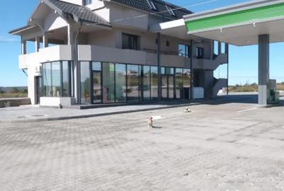 Spațiu comercial, de 240 mp, în Brădești - 5