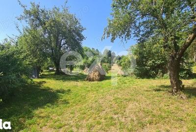 Teren de 6348 mp, în Corbeni - 2