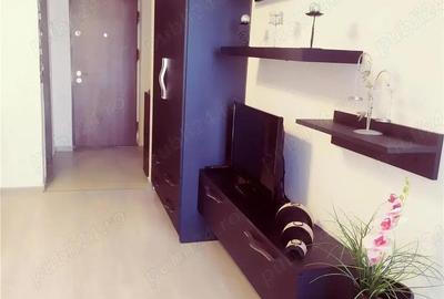 Garsoniera Titan Auchan, Parcul Teilor, Stefan Residence Garsoniera Titan Auchan, Parcul Teilor, Stefan Residence - 3