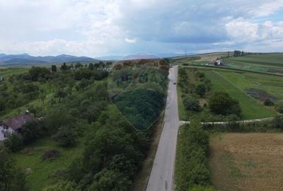 Teren intravilan 2500 mp in Tureni, 20 km de Cluj-Napoca - 5