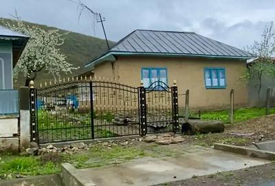 Se vinde casa cu gradina, rau ?i fantana