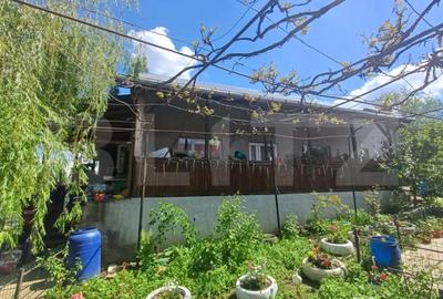Casă cu 3 camere cu Teren 7300 Mp în Central - 5