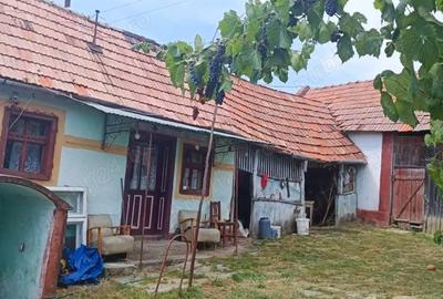Casă cu 5 camere cu Teren 1600000 Mp în Ghirbom - 3
