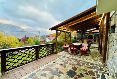 Vila sinaia iepurasul 3 - 1