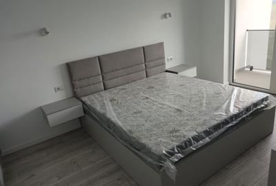 Apartament cu 2 camere decomandat în Beba Veche - 6