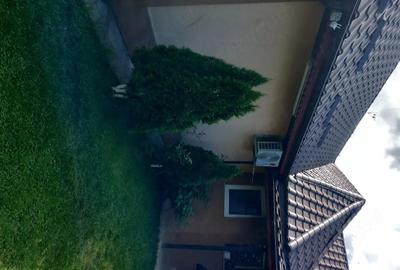 Casă cu 4 camere cu Teren 580 Mp în Plumbuita - 6