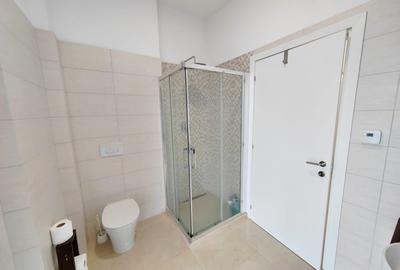 Apartament cu 4 camere decomandat în Torontalului - 15