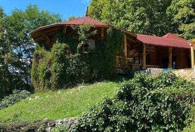 Casă cu 6 camere cu Teren 17000 Mp în Dumbrăvița - 17