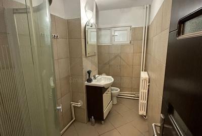 Spatiu comercial Podu Ros - 3