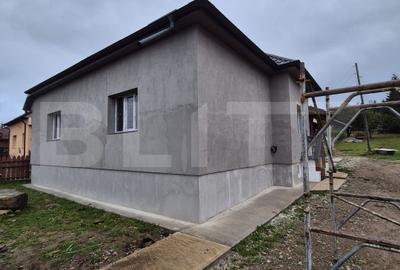 Casa de vacanta in curs de modernizare in Belis, 5 camere, 800mp teren drept Casa de vacanta in curs de modernizare in Belis, 5 camere, 800mp teren drept - 4