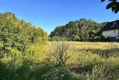 TEREN INTRAVILAN //GAGENI//PAULESTI TEREN INTRAVILAN //GAGENI//PAULESTI - 1