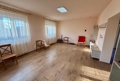 Casa Sinandrei Timis - 3