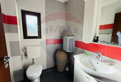 Apartament cu 3 camere semidecomandat în Grigorescu - 6