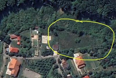 Spațiu comercial, în Central - 7