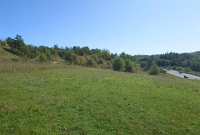 Teren Construcții intravilan de 8757 mp, în Luncoiu de Sus - 2