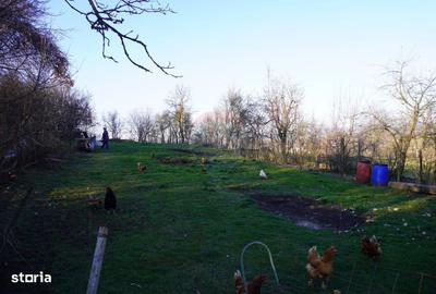 Casă cu 4 camere în Valea Hotarului - 2