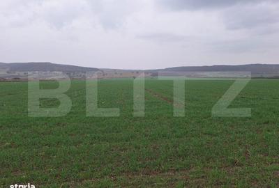 Spațiu comercial, în Vinerea - 1