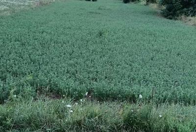 Spațiu comercial, în Dofteana - 2