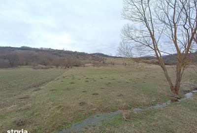 Teren de 2500 mp, în Central - 11