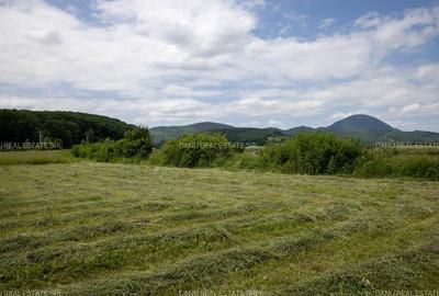 Teren 7500 mp cu potential turistic si rezidential Mina 1 mai - Vulcan Brasov - 5