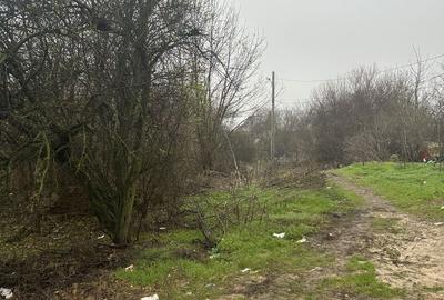 Teren de 800 mp, în Exterior Vest - 2