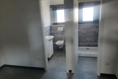 Hala noua de inchiriat, Zona Aeroport - 3