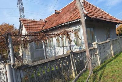 Casa de vanzare - 1