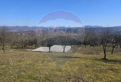 Teren de 4627 mp, în Giulești - 5